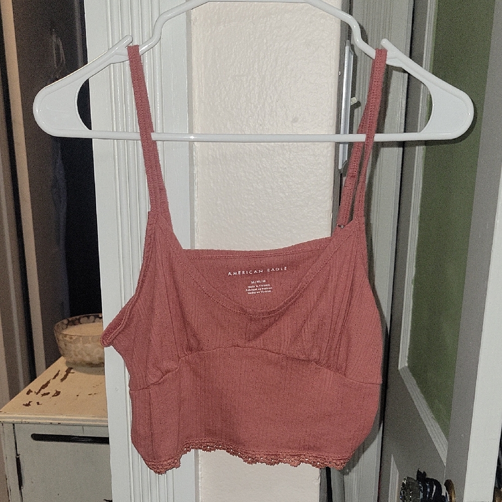 American Eagle Outfitters Terracotta Crop Top